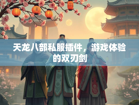 天龙八部私服插件，游戏体验的双刃剑  第3张