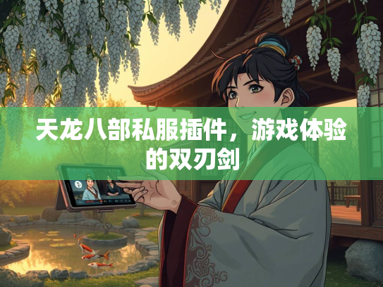天龙八部私服插件，游戏体验的双刃剑  第1张