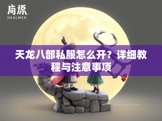 天龙八部私服怎么开？详细教程与注意事项  第2张