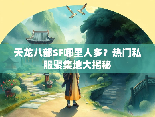 天龙八部SF哪里人多？热门私服聚集地大揭秘  第4张