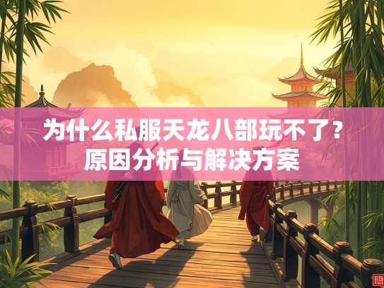 为什么私服天龙八部玩不了？原因分析与解决方案  第1张