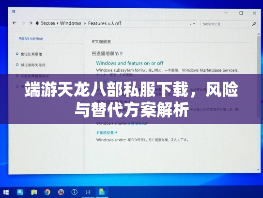 端游天龙八部私服下载，风险与替代方案解析