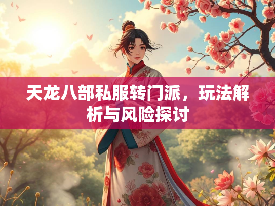 天龙八部私服转门派，玩法解析与风险探讨  第2张
