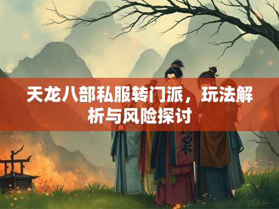 天龙八部私服转门派，玩法解析与风险探讨  第3张