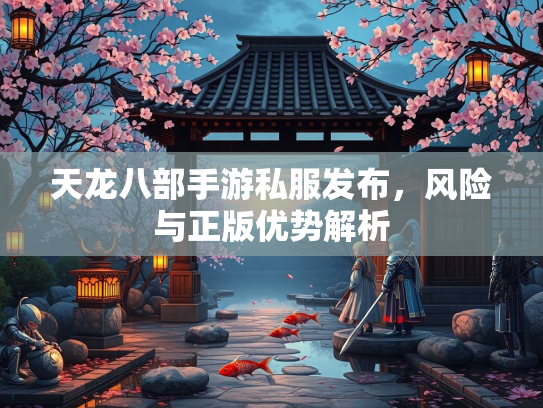 天龙八部手游私服发布，风险与正版优势解析  第2张