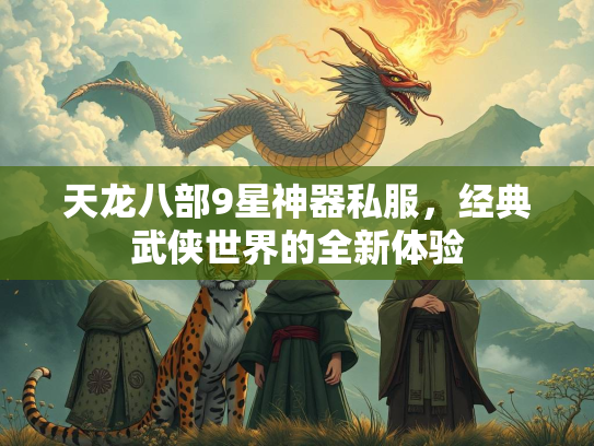天龙八部9星神器私服，经典武侠世界的全新体验  第2张