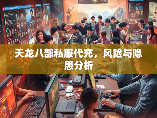 天龙八部私服代充，风险与隐患分析  第4张