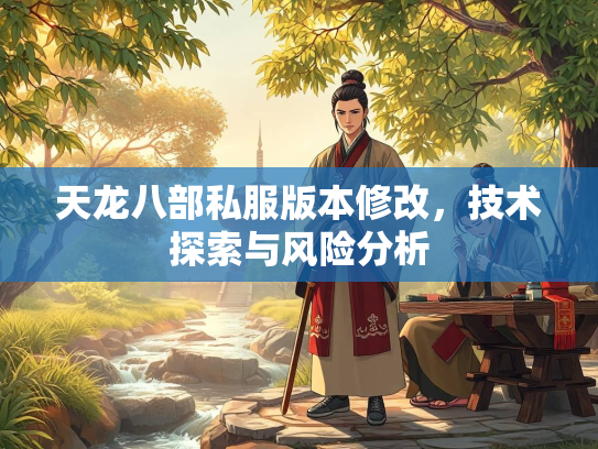 天龙八部私服版本修改，技术探索与风险分析  第2张