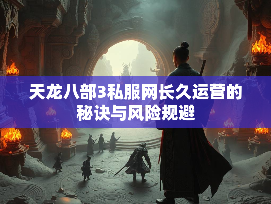 天龙八部3私服网长久运营的秘诀与风险规避  第2张