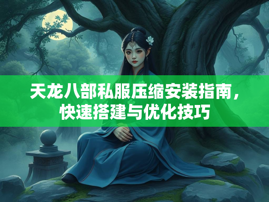 天龙八部私服压缩安装指南，快速搭建与优化技巧  第3张