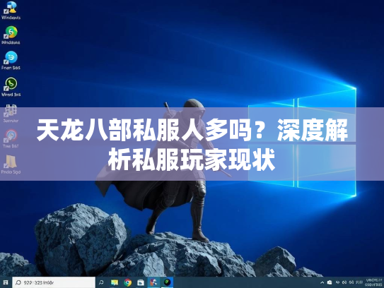 天龙八部私服人多吗？深度解析私服玩家现状  第3张