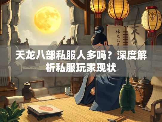 天龙八部私服人多吗？深度解析私服玩家现状  第1张