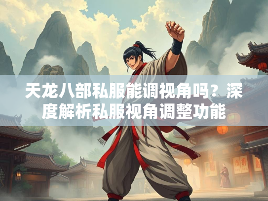 天龙八部私服能调视角吗？深度解析私服视角调整功能  第1张