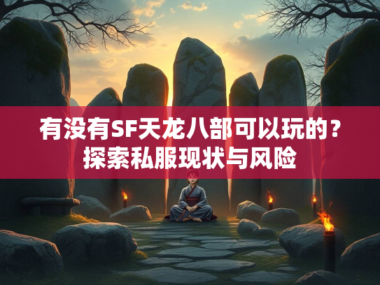 有没有SF天龙八部可以玩的？探索私服现状与风险  第2张