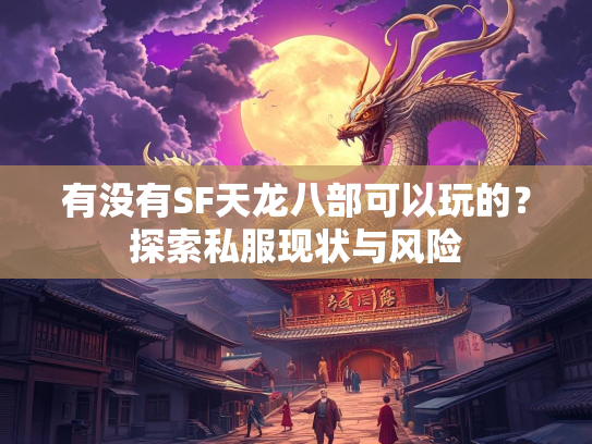有没有SF天龙八部可以玩的？探索私服现状与风险  第3张