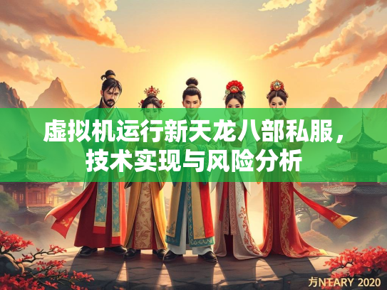 虚拟机运行新天龙八部私服，技术实现与风险分析  第3张