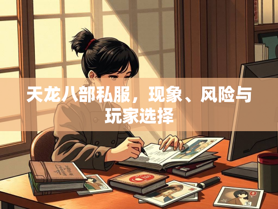 天龙八部私服，现象、风险与玩家选择  第2张