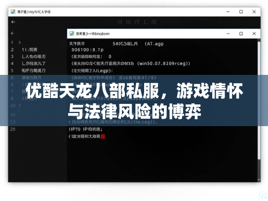 优酷天龙八部私服，游戏情怀与法律风险的博弈  第2张