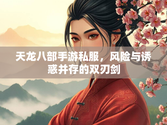 天龙八部手游私服，风险与诱惑并存的双刃剑  第3张