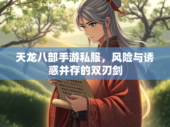 天龙八部手游私服，风险与诱惑并存的双刃剑  第1张