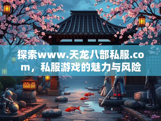 探索www.天龙八部私服.com，私服游戏的魅力与风险  第3张