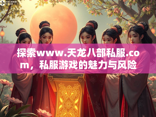 探索www.天龙八部私服.com，私服游戏的魅力与风险  第1张