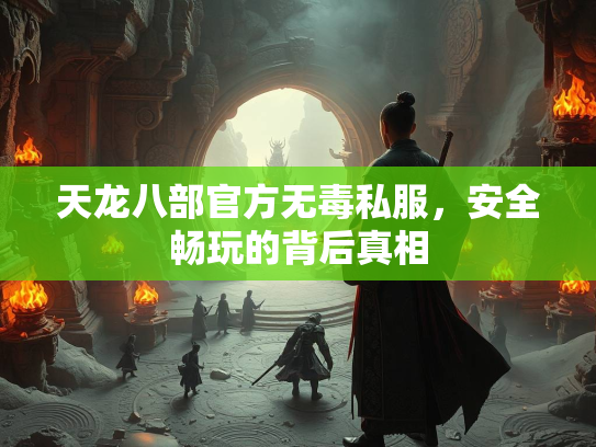 天龙八部官方无毒私服，安全畅玩的背后真相  第2张