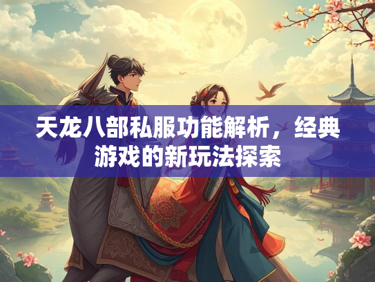 天龙八部私服功能解析，经典游戏的新玩法探索  第3张