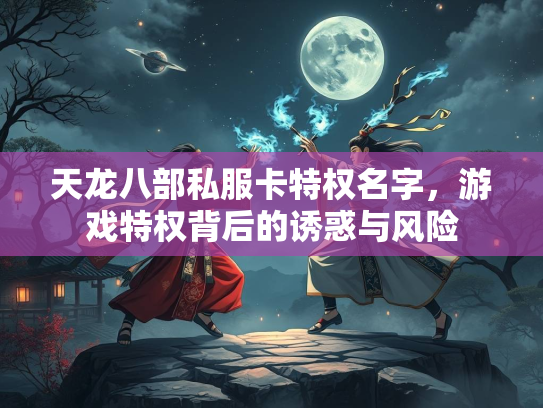 天龙八部私服卡特权名字，游戏特权背后的诱惑与风险  第2张