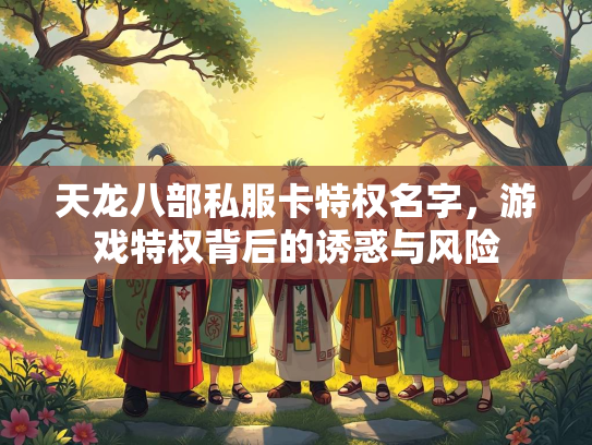 天龙八部私服卡特权名字，游戏特权背后的诱惑与风险  第1张