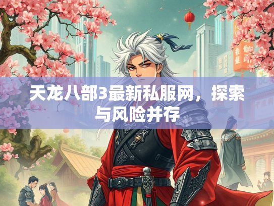 天龙八部3最新私服网，探索与风险并存  第2张
