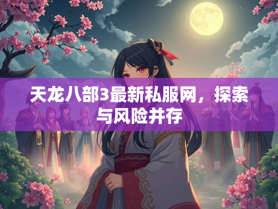 天龙八部3最新私服网，探索与风险并存  第1张
