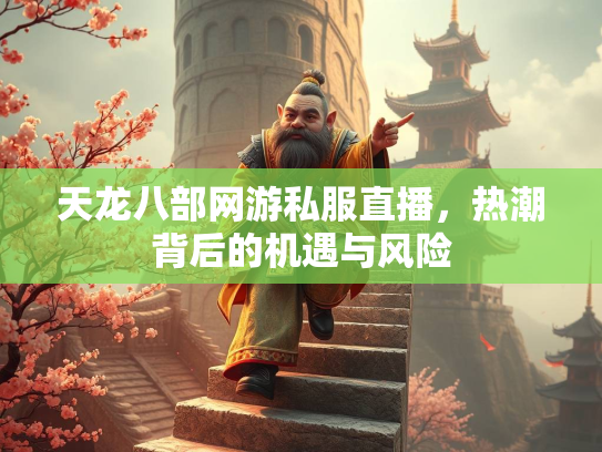 天龙八部网游私服直播，热潮背后的机遇与风险  第3张