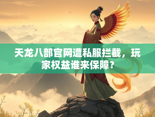 天龙八部官网遭私服拦截，玩家权益谁来保障？  第2张