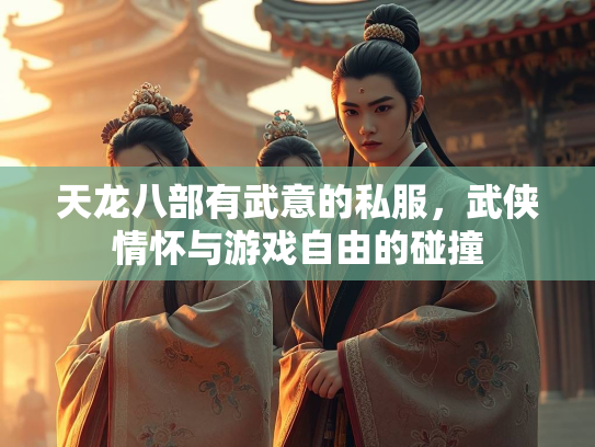 天龙八部有武意的私服，武侠情怀与游戏自由的碰撞  第2张