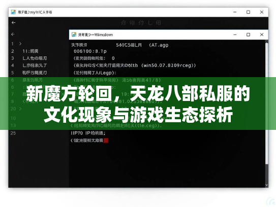 新魔方轮回，天龙八部私服的文化现象与游戏生态探析  第1张