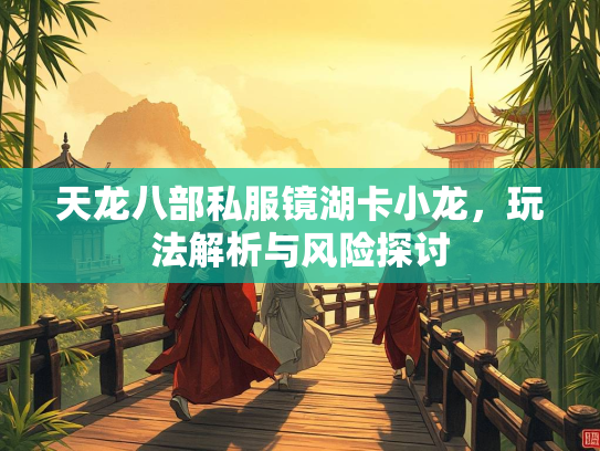 天龙八部私服镜湖卡小龙，玩法解析与风险探讨  第2张
