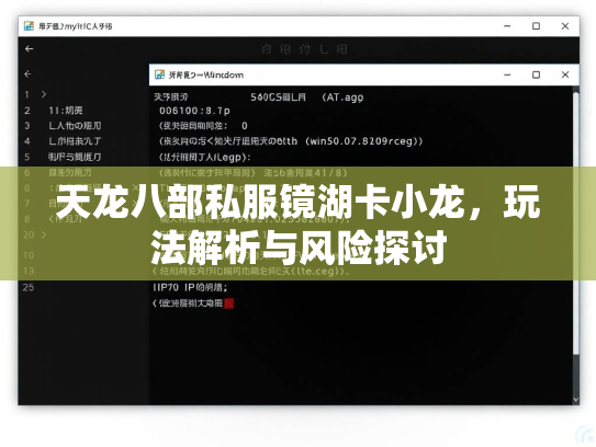 天龙八部私服镜湖卡小龙，玩法解析与风险探讨  第3张