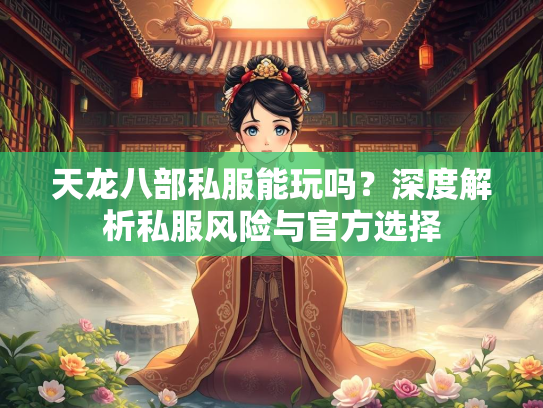 天龙八部私服能玩吗？深度解析私服风险与官方选择  第2张