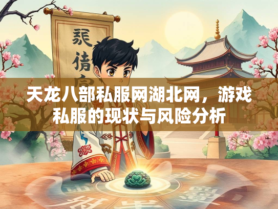 天龙八部私服网湖北网，游戏私服的现状与风险分析  第2张