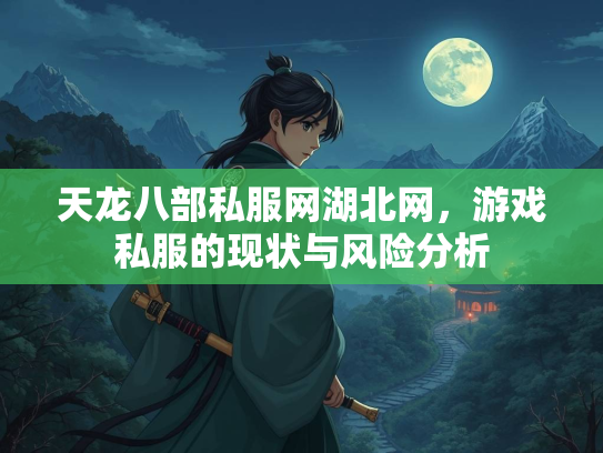 天龙八部私服网湖北网，游戏私服的现状与风险分析  第3张