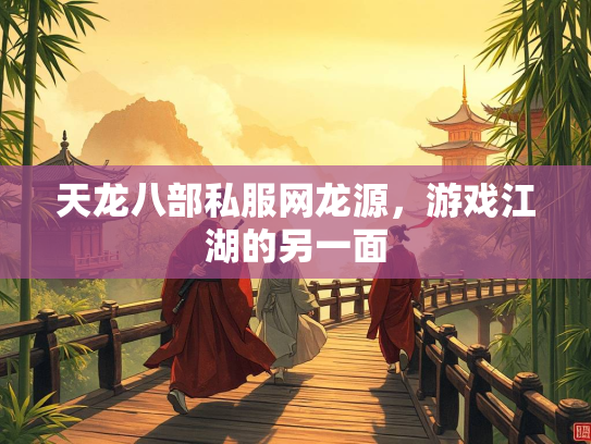 天龙八部私服网龙源，游戏江湖的另一面  第2张