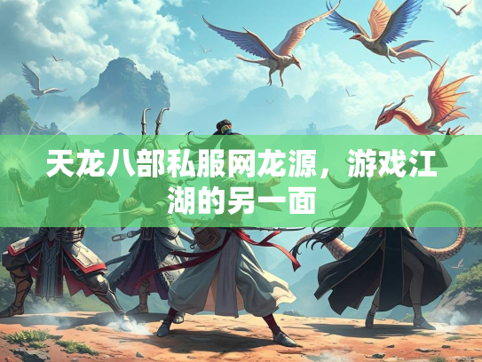 天龙八部私服网龙源，游戏江湖的另一面  第1张