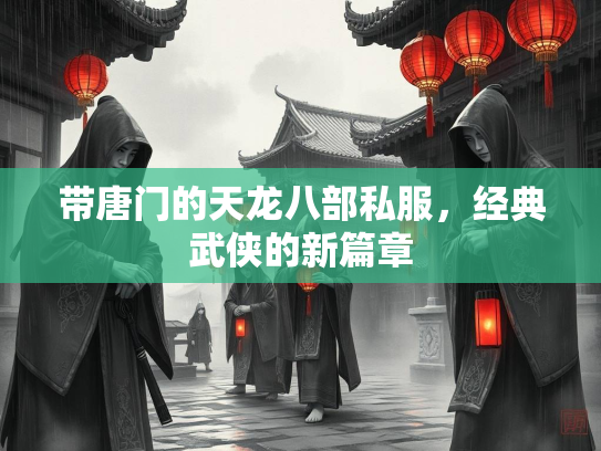 带唐门的天龙八部私服，经典武侠的新篇章  第2张