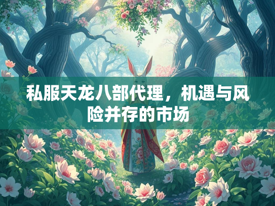 私服天龙八部代理，机遇与风险并存的市场