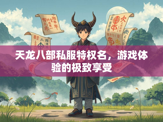 天龙八部私服特权名，游戏体验的极致享受  第2张