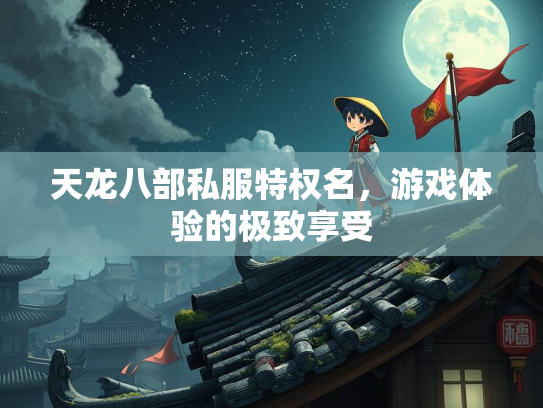 天龙八部私服特权名，游戏体验的极致享受  第3张