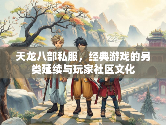 天龙八部私服，经典游戏的另类延续与玩家社区文化  第3张