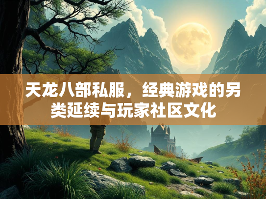 天龙八部私服，经典游戏的另类延续与玩家社区文化  第1张