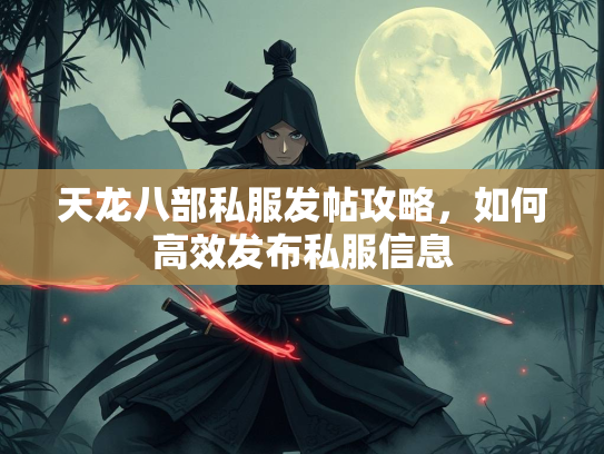天龙八部私服发帖攻略，如何高效发布私服信息  第2张